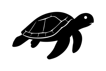 turtle vector illustration
