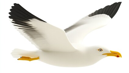 Fototapeta premium White seagull in flight against white background (1)