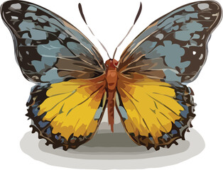 butterfly vector art