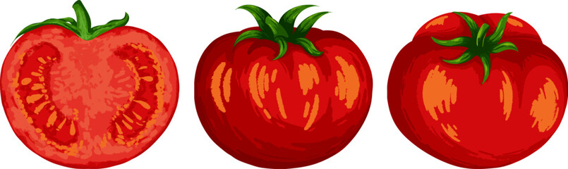 Cartoon Tomato Vector Set with Hand Drawn Style.Perfect for food-related design, menus, packaging, educational materials, and gardening projects.