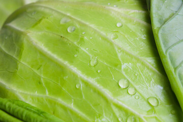 Cabbage on a fresh vegetable stand in the market