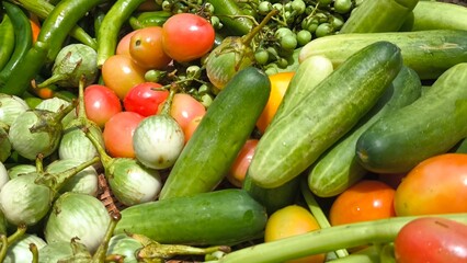 Fresh vegetables for cooking. Vegetables contain dietary fiber that helps cleanse the intestines.