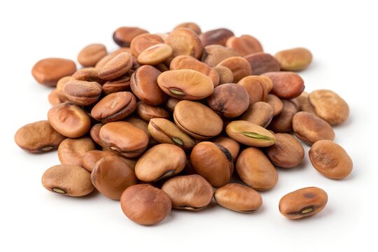 dried fava beans on white background