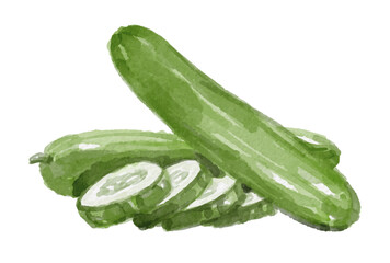 Watercolor cucumber isolated on white background