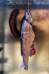 trout hanging on a hook in a smokehouse already smoked to golden brown. The fish is followed by sausages. Smoke passes around the fish in the smokehouse. ideal photo suitable for gastronomy