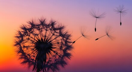 Close-up of a dandelion releasing seeds against a vibrant sunset sky, symbolizing freedom and change