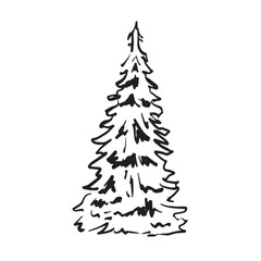 christmas tree vector