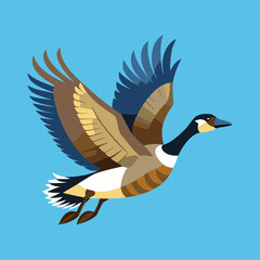 Modern and coloring Canada goose vector illustration, Flying Canada goose vector art use of graphics design, web banner, logo, poster, clothing, kids and more, Canada goose vector illustration