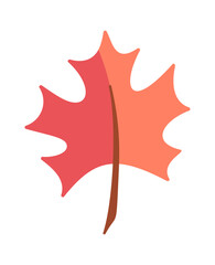 Red maple leaf design element
