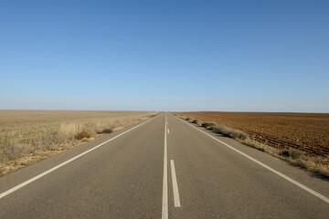 Carretera entre dos campos, uno labrado y otro silvestre, contraste de ideas