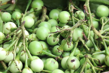 fresh Pea eggplant healthy food