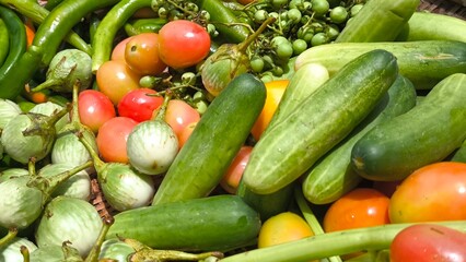 Fresh vegetables for cooking. Vegetables contain dietary fiber that helps cleanse the intestines.