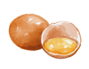 Hand painted watercolor broken egg isolated