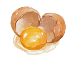 Watercolor broken egg isolated on white background