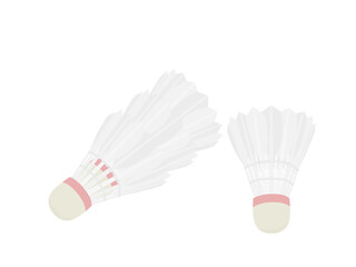 Badminton on a white background.
