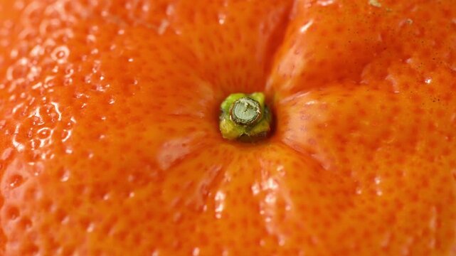 Close-up of orange peel