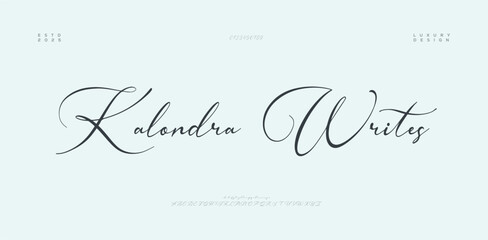 The Handcraft Signature Modern Calligraphy Font. signature Font Calligraphy Logotype Script elegant Font Type Font lettering handwritten. vector illustration 
