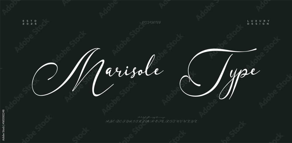 Aufkleber signature elegant branding typeface. handwritten script editable text effect template . vector illus