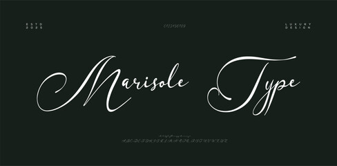 Signature Elegant Branding Typeface. Handwritten Script Editable Text Effect Template . vector illustration 
