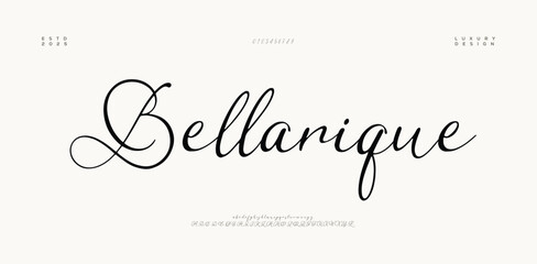 Signature Font Uppercase Lowercase And Number. Script Font Calligraphy Logotype  elegant Font Type Font lettering handwritten. vector illustration  
