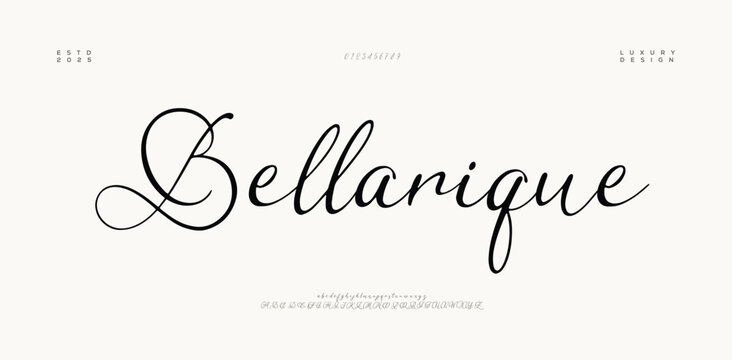 Signature Font Uppercase Lowercase And Number. Script Font Calligraphy Logotype  elegant Font Type Font lettering handwritten. vector illustration  
