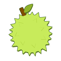 Durian fruit vector illustration