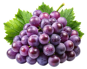 Fototapeta premium Fresh ripe purple grapes with green leaves isolated on a black background
