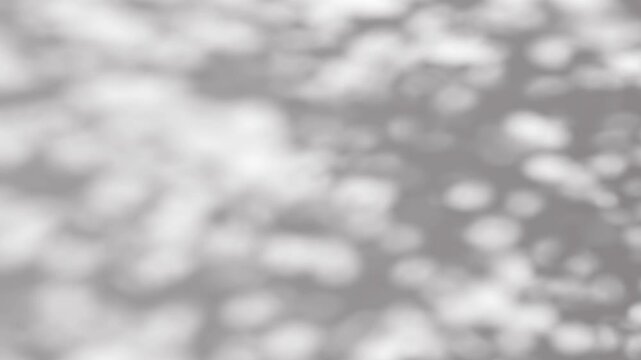 Abstract shadow tree on wind background, boho effect, looped animation