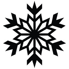 snowflake vector icon