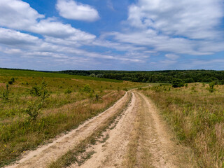 A dirt road in the middle of a grassy field