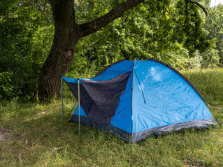 A blue tent is set up under a tree in the woods