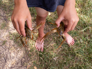 A person holding two crayfish in their hands on the ground