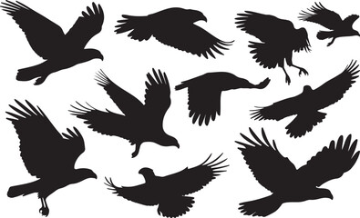 Caracara Solid Vector Silhouette