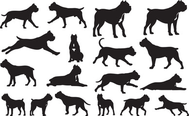 Cane Corso Solid Vector Silhouette