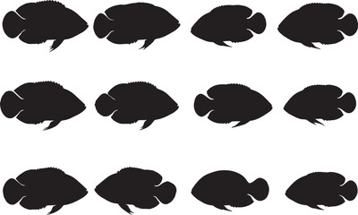 Oscar Fish Solid Vector Silhouette