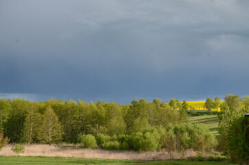 a meadow in Masuria and above it a cloudy sky 
