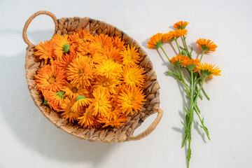 Bright orange calendula flowers in a woven basket and on the table.