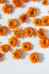 Dried orange calendula flowers scattered on a white background.