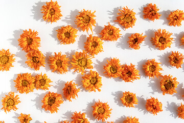 Bright dried calendula flowers arranged in a scattered pattern on white.