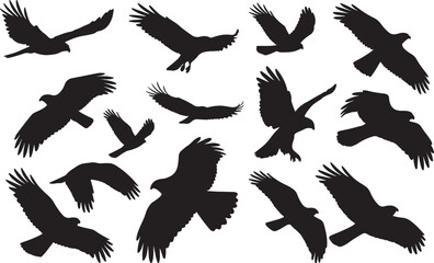 Rough-legged Hawk Solid Vector Silhouette