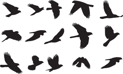 Sharp-shinned Hawk Solid Vector Silhouette