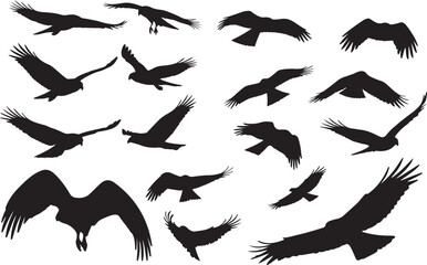 Snail Kite Solid Vector Silhouette