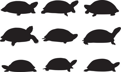 Softshell Turtle Solid Vector Silhouette 