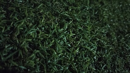Close-up of green artificial grass texture, perfect for use in landscape mockups, background fillers, or outdoor product design.