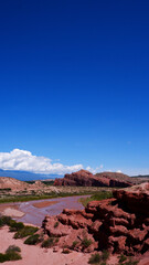 Voyage nature Argentine 2023