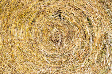Round hay bale background