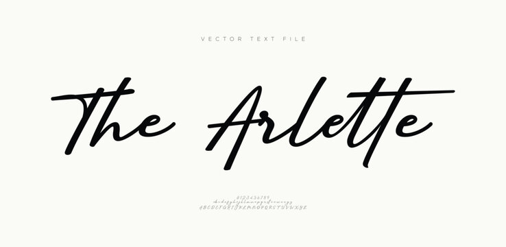 Script Elegant Signature Typeface. Lettering signature font isolated on grey background. brus style alphabet. Vector logo letters.
