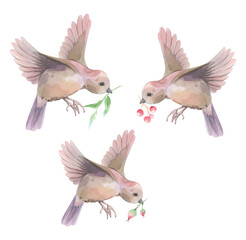 Bird with branches in its beak. Set. Watercolor.