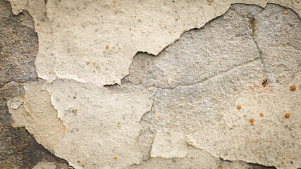 simple background, wall, concrete, wood background