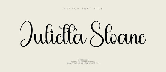 Elegant Professional Signature Script. Elegant Script Handwritten Font for Wedding Invitations, Business Branding, and Fashion Projects . vector illustration 
